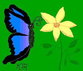 butterfly2.jpg