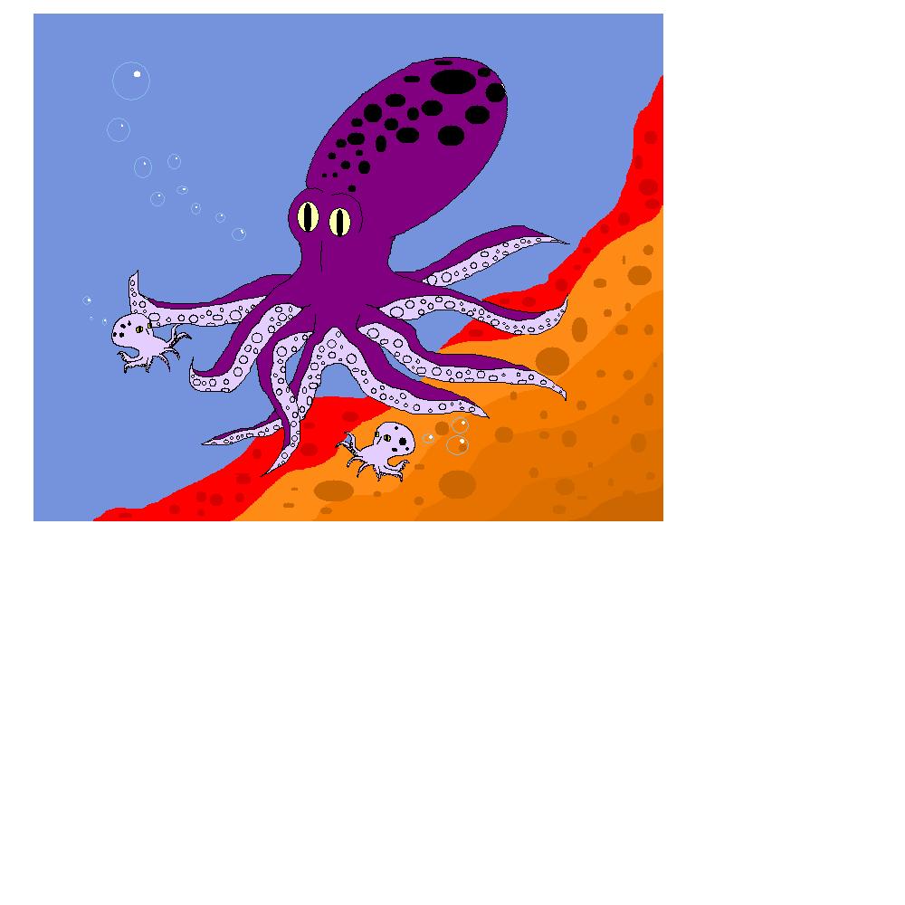 octopus.jpg